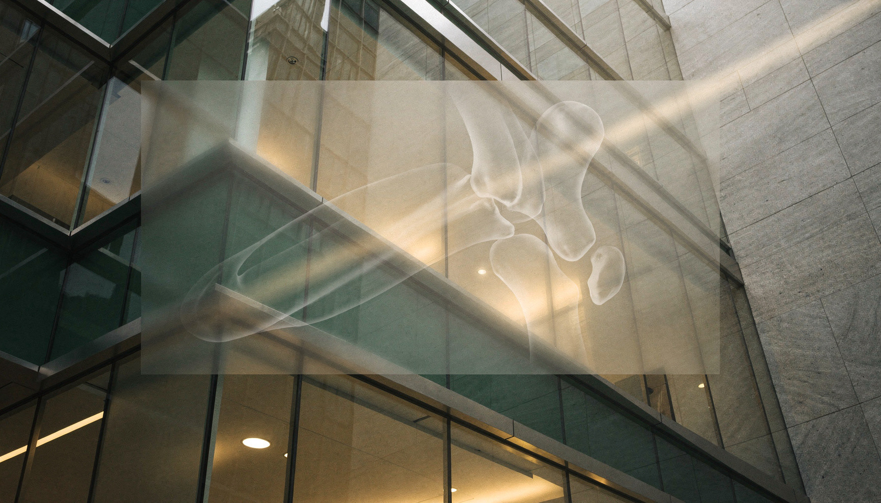 CHIHUA LEE, MD - Joint Replacement and Orthopaedic Surgery website preview